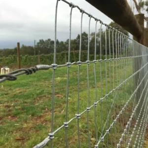 1.8/2.0/2.5mm Wire Diameter Square Knot Hot Dipped Galvanized Wire Mesh Fence for Horse Cattle Sheep Grassland