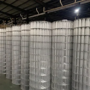 6ft Modern Design Welded Wire Mesh Hot Dipped Galvanized Stainless Steel Farm Iron Wire Mesh