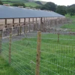 Agricultural Farm Cattle Fence Wire Mesh Galvanized Livestock Fencing Net Anti Corrosion Field Barrier for Sheep Horse Ranch Agricultural Farm Cattle Fence Wire Mesh Galvanized Livestock Fencing Net Anti Corrosion Field Barrier for Sheep Horse Ranch