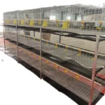 Ankong H Type 3 4 Tier Wire Mesh Battery Breeder Cage Poultry Farming Equipment Layer Hens Broiler