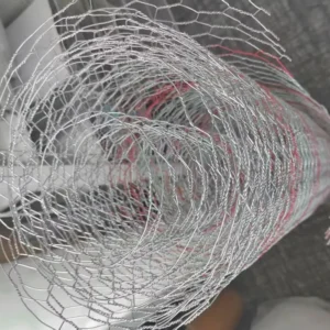 Anti Crack Plastering Mesh Chicken Wire for Hotel & Apartment Projects