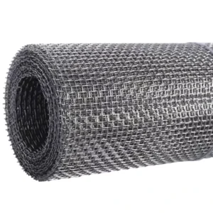 China Manufacturer Stainless Steel Wire Mesh Roll for Especially Export