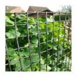 Custom Agricultural 100% HDPE Climbing Plant Mesh Plastic Garden Netting for Protection Custom Agricultural 100% HDPE Climbing Plant Mesh Plastic Garden Netting for Protection