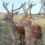 Customizable Galvanized Cattle Fence Goat Farming Sheep Farm Deer Fence Net Livestock Fence Net for Field and Farm Customizable Galvanized Cattle Fence Goat Farming Sheep Farm Deer Fence Net Livestock Fence Net for Field and Farm