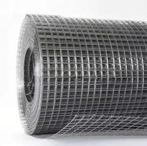 Customized Hot Dipped Galvanized Steel Wire Mesh High Durable Welded Wire Mesh