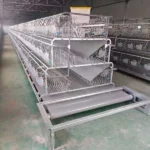 Easy Clean Rabbit Cage in Kenya Farm With Plastic Rabbit Cage Trays