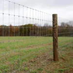 Factory 6ft High Galvanized Fixed Knot Wire Fencing Rural Woven Wire & Field Fencing for Cattle and Sheep Factory 6ft High Galvanized Fixed Knot Wire Fencing Rural Woven Wire & Field Fencing for Cattle and Sheep