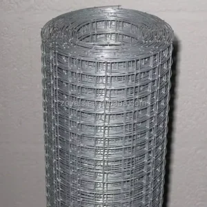 Factory Direct Sales 2 X 1/2 X 1 Galvanized Iron Wire Welded Mesh