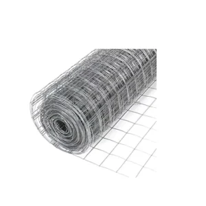 Factory Hot Dipped Galvanized Welded Wire Mesh