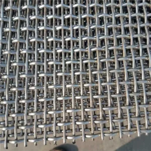 Factory Supply Stainless Steel Crimped Welded Wire Mesh Fence Filter Screen Guangdong