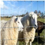 Farm Cattle Fence Barbed Wire Breeding Fence with Prairie Farm Fence Net Braided Net Farm Cattle Fence Barbed Wire Breeding Fence with Prairie Farm Fence Net Braided Net