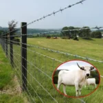 Farm Fence Wire Mesh Cattle Fence Grassland Fence Galvanized Wire Mesh Pasture Fence Kraal Fence Animal Fence Farm Fence Wire Mesh Cattle Fence Grassland Fence Galvanized Wire Mesh Pasture Fence Kraal Fence Animal Fence