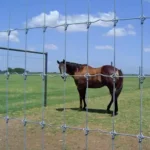 Galvanized Grassland Wire Mesh Fence Sheep Field Deer Farm Fence Cattle Fence