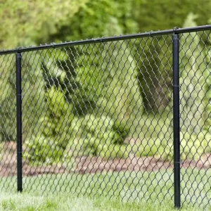 Galvanized PVC Coated Iron Wire Mesh Security Fence Chain Link Hexagon Hole Shape Customizable 8 Foot Height Sport Fence