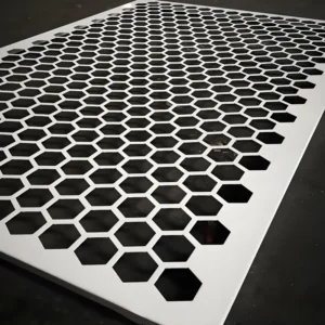 Galvanized Perforated Metal Mesh Stainless Steel Perforated Sheet Hole Punching Sheets