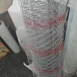 Galvanized Round Durable Chicken Wire Mesh for Apartment Wall Stucco Plastering Rendering