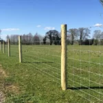 Galvanized Sheep Farm Cattle Mesh Fence 20 Year Durability Square Knot Cattle Wire Mesh Fence Galvanized Sheep Farm Cattle Mesh Fence 20 Year Durability Square Knot Cattle Wire Mesh Fence