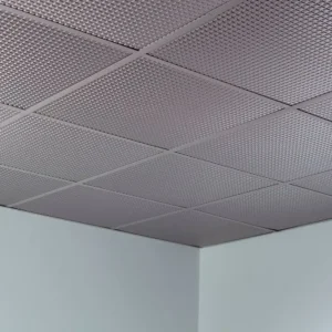 Galvanized Steel Wire Expanded Metal Mesh Ceiling Cladding Protecting Mesh Plain Weave Bending Cutting Welding Services