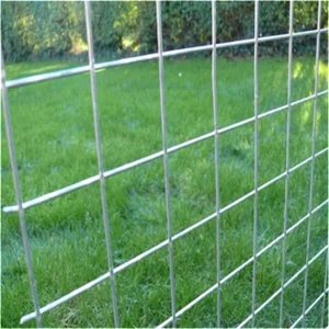Galvanized Steel Wire Mesh Welded Iron Construction Square and Rectangular Hole Cages Iron Wire Mesh Cages Product