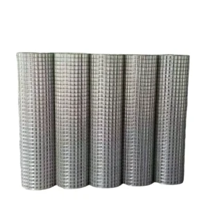 Galvanized Welded Wire Mesh