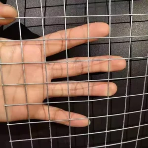 Galvanized Welded Wire Mesh Factory Price Wire Mesh