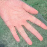 Garden Insect Netting Plant Mosquito Netting Anti Insect Net Plant Protection Netting for Vegetable Fruits Mesh Netting Pest Garden Insect Netting Plant Mosquito Netting Anti Insect Net Plant Protection Netting for Vegetable Fruits Mesh Netting Pest