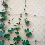 Garden Mesh Netting Plastic for Outdoor Gardening Use