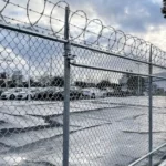 Green Color PVC Coated Temporary Fence Panel Chain Link Fence Chain Wire Mesh for Baseball Fields