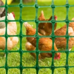 Green Plastic Fence Net for Protecting Poultry Chicken Duck Vegetable Garden Orchard Fish Pond and Grating