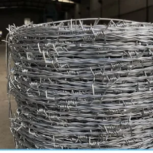 HDG Hot Dipped Galvanized Barbed Wire Factory Direct Supply