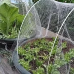 HDPE Plant Garden Bird Netting Trellis Net for Plant Fruit Tree Protect Sparrow Pest Catching Mesh Green Anti Bird Netting HDPE Plant Garden Bird Netting Trellis Net for Plant Fruit Tree Protect Sparrow Pest Catching Mesh Green Anti Bird Netting