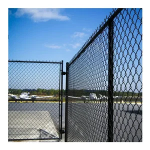 Heavy Duty Hot Dipped Galvanized PVC Coated Chain Link Fence 275 G/m Zinc Coating Diamond Wire Mesh for Farm