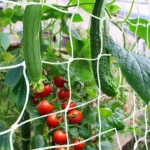Heavy Duty Polyester Garden Trellis Netting Customizable Cutting Service for Climbing Plants Vines Vegetables Fruits Flowers Heavy Duty Polyester Garden Trellis Netting Customizable Cutting Service for Climbing Plants Vines Vegetables Fruits Flowers