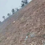 Hexagonal Gabion Rockfall Barrier Mesh SNS Flexible Slope Security Protection System Rockfall Netting