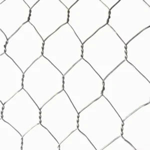 Hexagonal Galvanized Wire Mesh for Gardening Plant Vegetable Flower Fruit Protection
