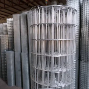 High Quality 304 Rust Proof Roll Type Stainless Steel Welded Wire Mesh for Garden Fence and Animal Protection Use