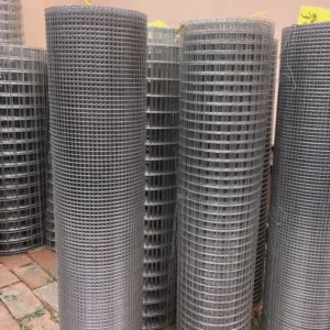 High Quality Hot Dipped Galvanized Fencing Iron Netting Welded Wire Mesh for Animal Cages