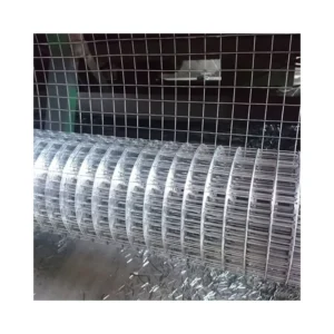 High Quality Philippines Electro Galvanized 1/2inch Welded Wire Mesh 8 Gauge Welded Iron Wire Mesh Netting