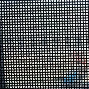 High Quality Stainless Steel Security Window/Door Screen/SS 304 316 Security Screen Mosquito Net