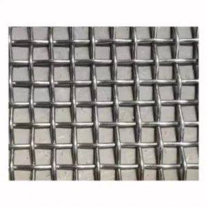 High Quality Stainless Steel Wire Mesh for Insect protection