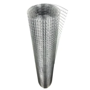 High Quality and Good Price Galvanized Low Carbon Steel Welded Wire Mesh with Cutting Service