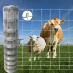 High Strength 5ft Galvanized Woven Wire Farm Fence Corrosion Resistant Livestock Barrier for Cattle Enclosure High Strength 5ft Galvanized Woven Wire Farm Fence Corrosion Resistant Livestock Barrier for Cattle Enclosure