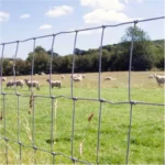 High Tensile Galvanized Farm Fence Field Wire Mesh for Cattle Breeding and Animal Control