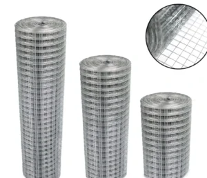 Hot Dipped Galvanized 2mm Steel Wire Mesh 15x100mm Square Hole Plain Weave Welded Cage Rolls Cutting Service Screen Application