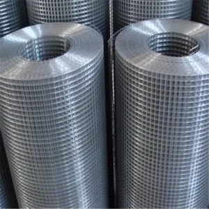 Hot Dipped Galvanized Fencing Iron Netting 10 Gauge Welded Wire Mesh for Rabbit Bird Animal Pet Cages