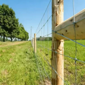Hot Dipped Galvanized Heavy Duty Low Carbon Steel Wire Mesh for Livestock Security Pasture Management Anti-Corrosion