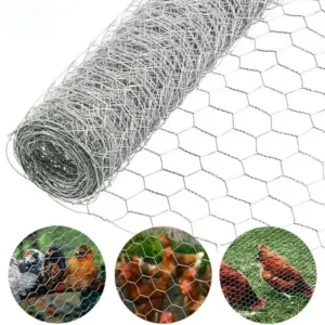 Hot Dipped Galvanized Hexagonal Wire Mesh