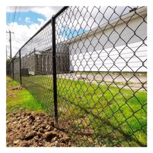 Hot Dipped Galvanized Iron Wire Mesh Chain Link Fence for Baseball Fields