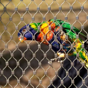 Hot Dipped Galvanized Steel Wire Rope Mesh Low Carbon Zoo Rope Mesh with High Quality for Sale