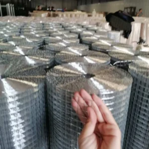 Hot Dipped Galvanized Welded Mesh 1/2 Inch for Construction Stucco